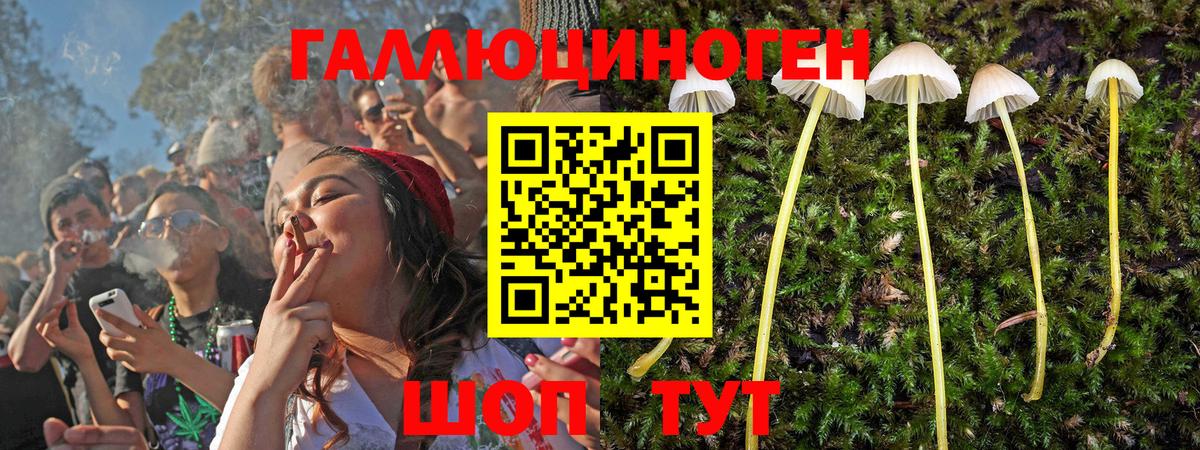 Галлюциногенные грибы ЛСД  Галлюциногенные грибы GOLDEN TEACHER  Михайловка  как найти наркотики  Вход с VPN 